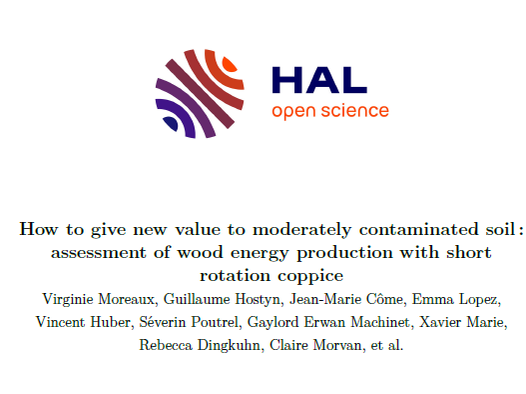 How to give new value to moderately contaminated soil