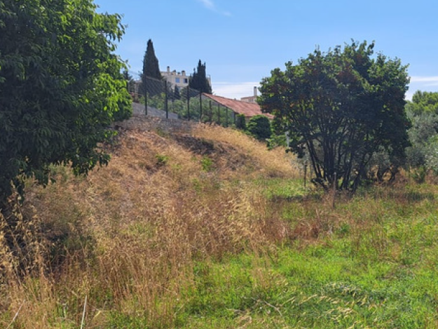 Gestion par phytomanagement d’un site pollué au plomb