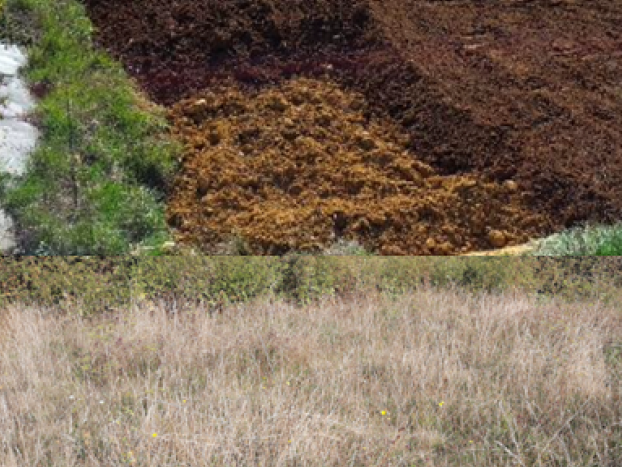 nexstone reconstitution d’une prairie calcaire sèche